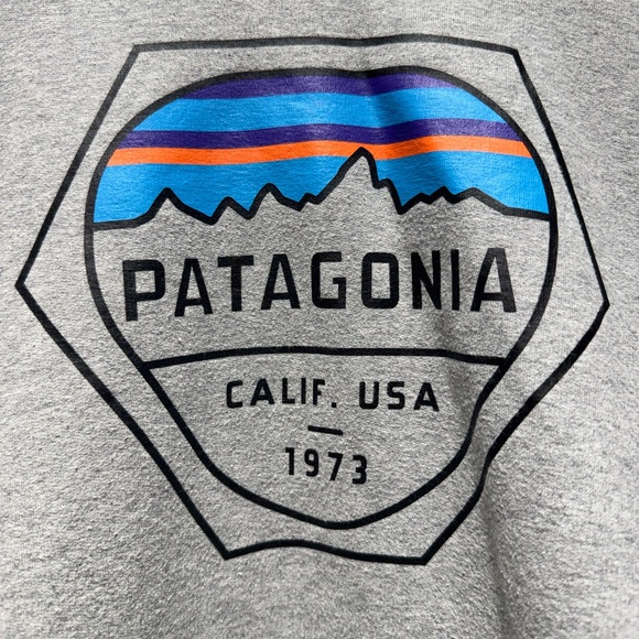 PATAGONIA Gray Hoodie with Multicolor Mountain Badge - Picture 3 of 9